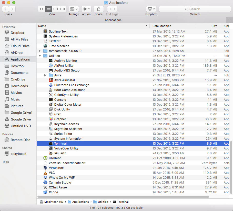 OS X terminal